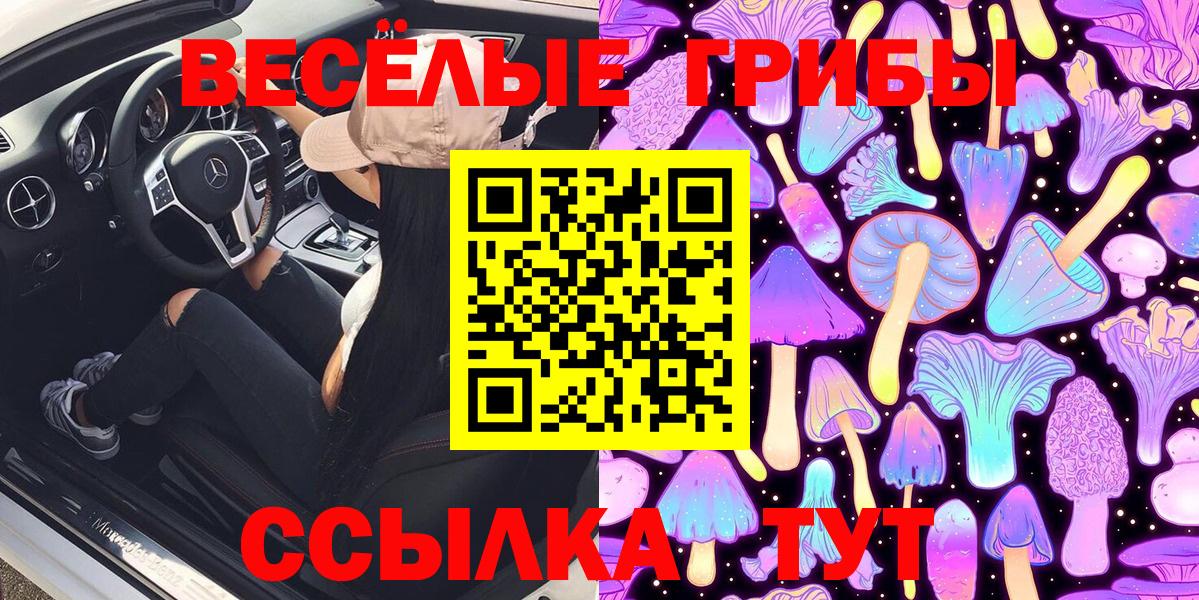 Псилоцибиновые грибы Psilocybine cubensis Бугуруслан